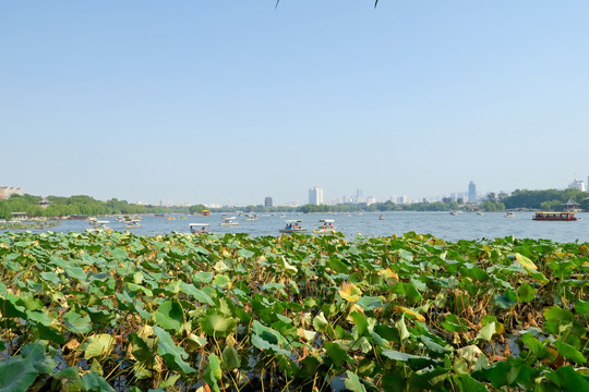 济南大明湖