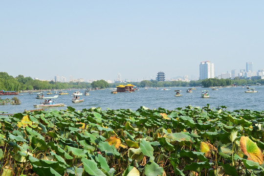 济南大明湖