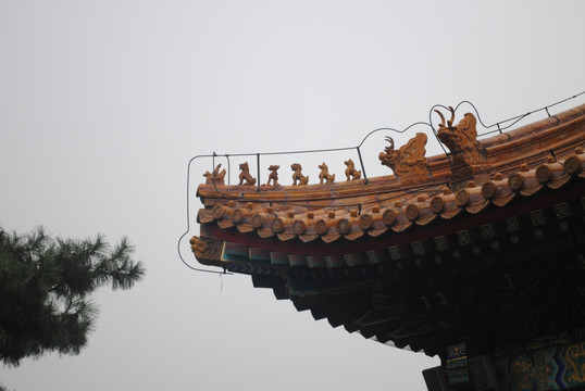 北京故宫 紫禁城 世界文化遗