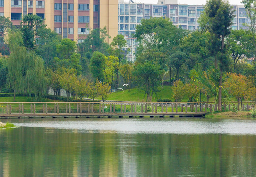 湖岸风景