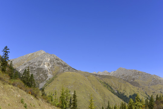 青藏高原风光 高山峡谷林地