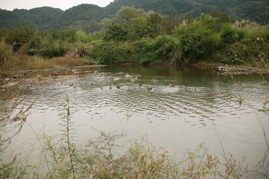 山间湖泊