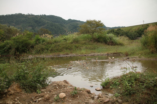 山间湖泊