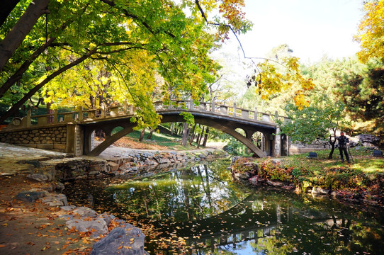 秋天的小桥