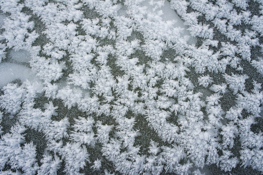 雾凇岛