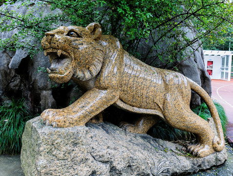 校园雕塑老虎