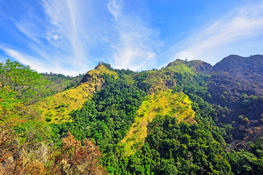 高山