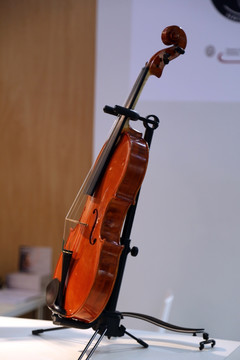 小提琴展示