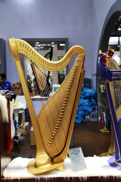 竖琴 琴 古典乐器 上海 浦东