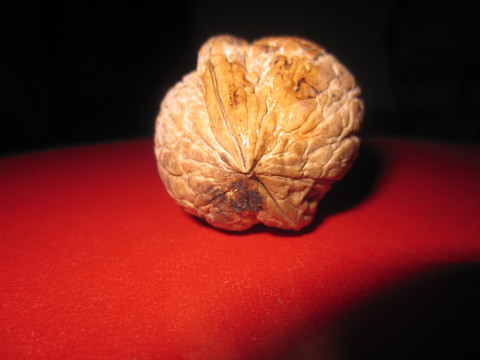 纸皮核桃