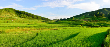 超清贵州田园风光夏天