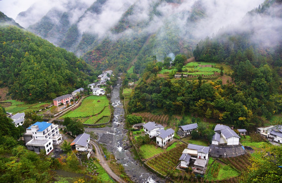 大山新农村