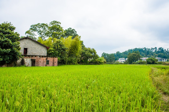 农家小屋