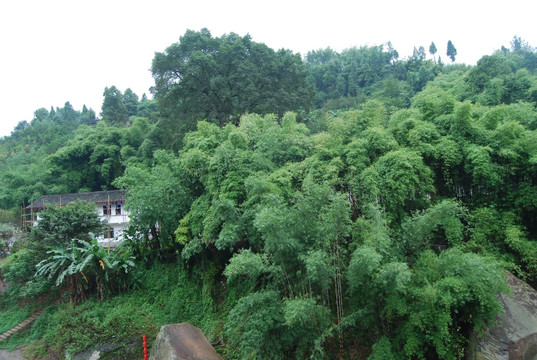 重庆中山古镇 重庆旅游 重庆古