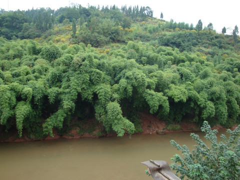 重庆中山古镇 重庆旅游 重庆古