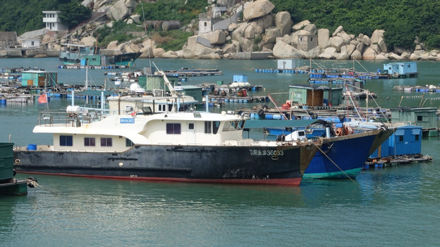 渔港 上川岛 码头 渔船