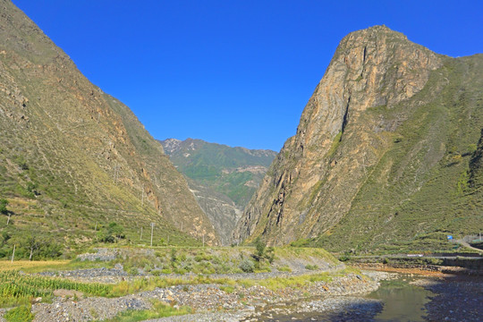 青藏高原 田园庄稼地 玉米地