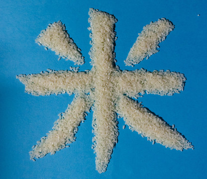 东北大米 大米包装  米粒