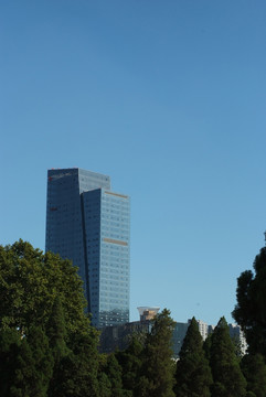 城市