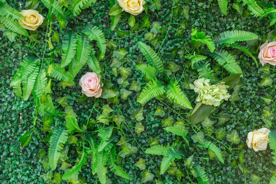 绿色植物墙 花墙背景