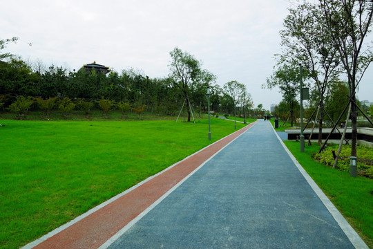 公园沥青路小路观光路