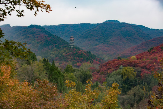 红叶谷景色