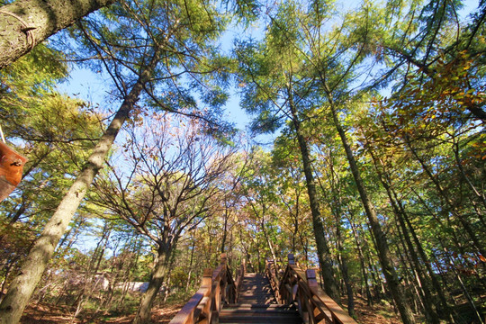 山东临沂龟蒙蒙山景区秋色美