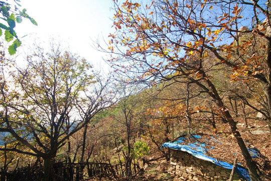 山东临沂龟蒙蒙山景区秋色美