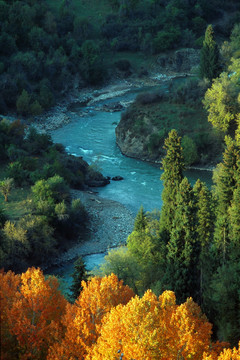秋天的河流