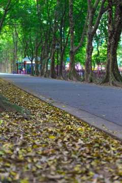路