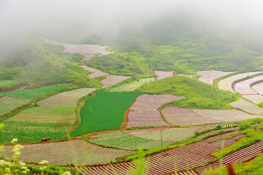 美丽田园