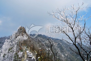 茶山竹海