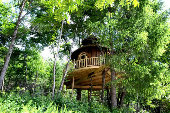 森林里的 小木屋
