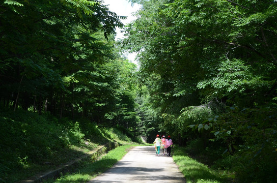 山里的路