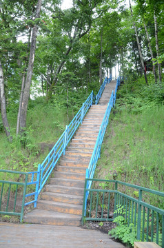森林楼梯
