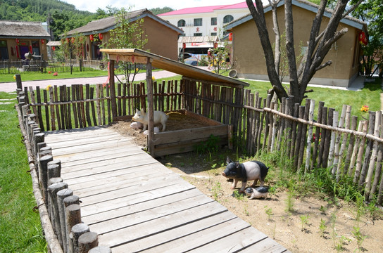 东北农村 猪舍