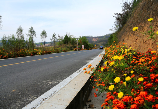 农村公路