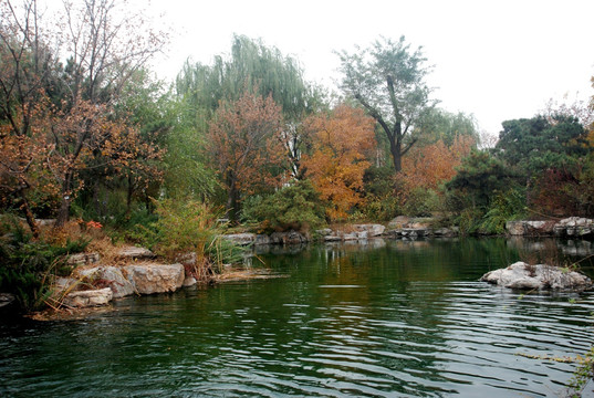 北京奥森公园  生态园