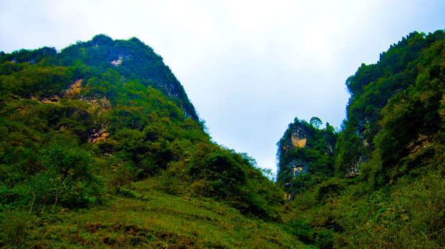 山门 高山