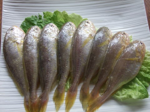 海鲜小黄鱼