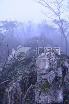 南京老山国家森林公园