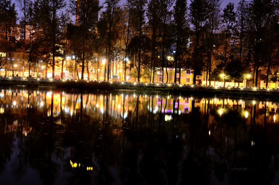 翠湖夜景