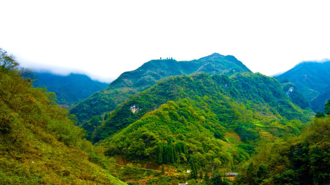 山丘 大山
