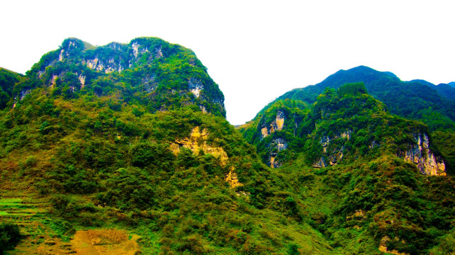 高山 大山