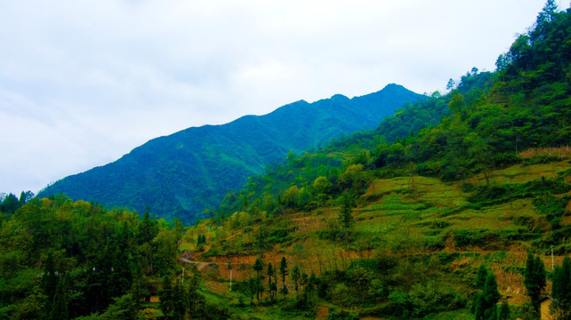 山地 山村