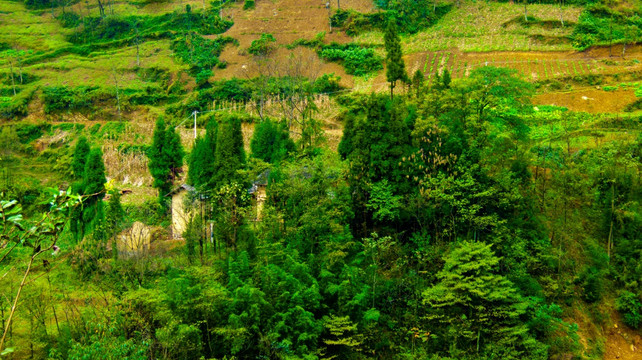山村 山地