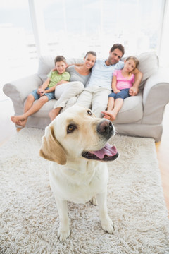 坐在沙发上的家人和他们的宠物狗