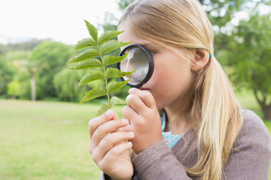 用放大镜检查树叶的年轻女孩