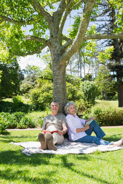 一对夫妇坐在公园树下