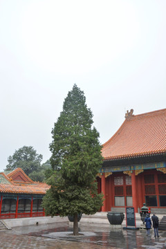 中国宫廷建筑